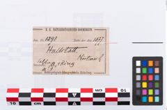 Etikett zu Bronzearmreif (NHMW-PRAE-001398)
